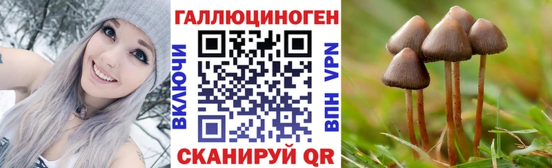 Псилоцибиновые грибы мухоморы  Ленинск 